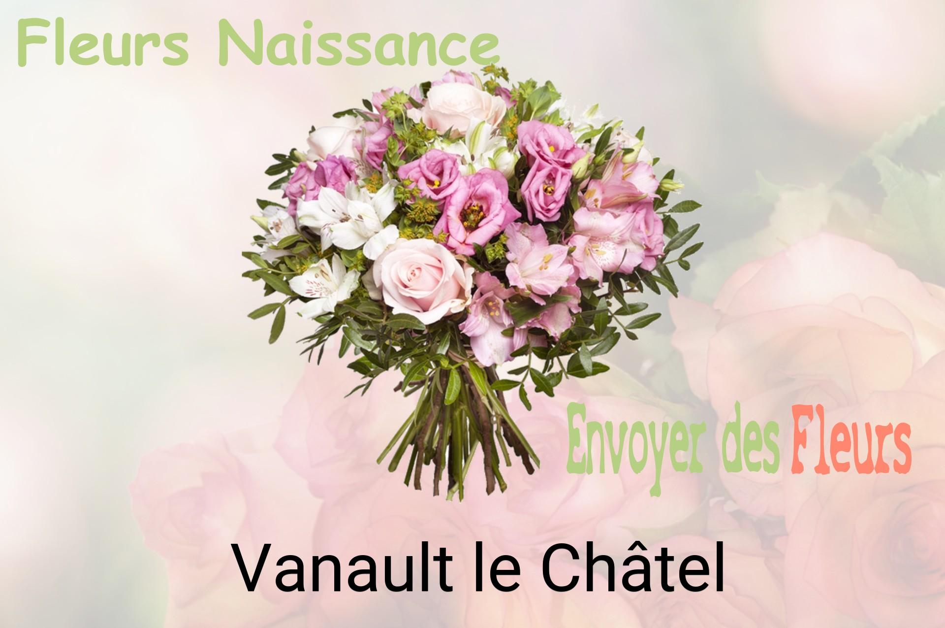 Bouquet de fleurs de naissance livré à Vanault-le-Châtel